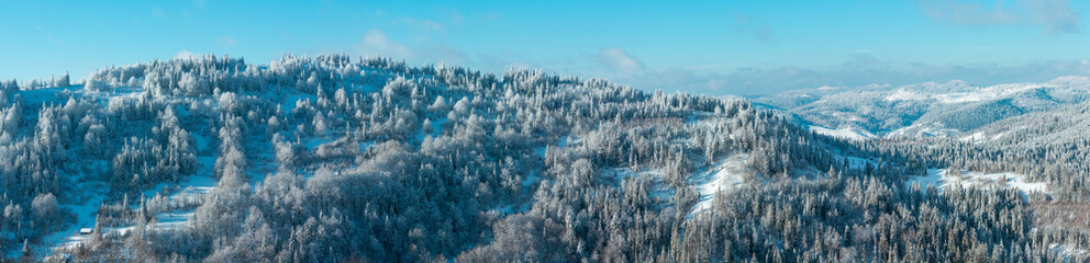 Winter Carpathian Mountains panorama.
