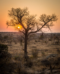 Sunset over the Savanna