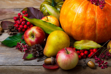 Harvest concept with pumpkin, pears, apples, rowan berries © TasiPas