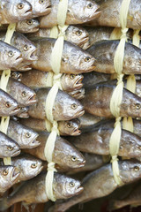 dried yellow corvina 