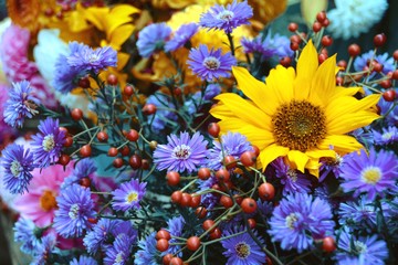 Herbst - Blumen 