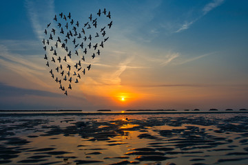 Birds silhouettes flying above the sea against sunrise in the form of heart