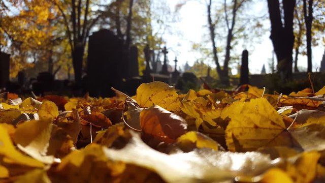 Herbst am Allerheiligen