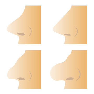 Set of Different Human Nose