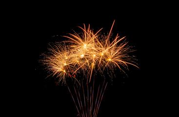 Fireworks light up the dark sky
