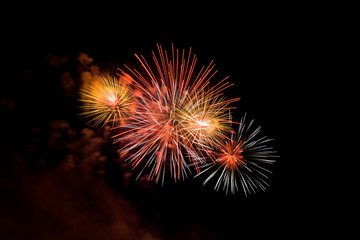 Fototapeta premium Fireworks light up the dark sky