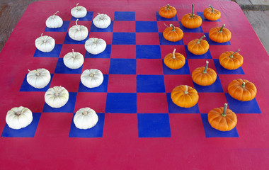 Damespiel mit weißen und orangefarbigen Minikürbissen als Spielsteinen