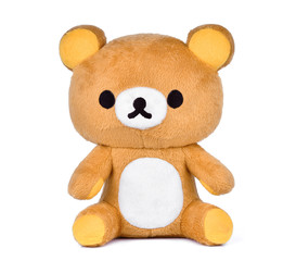 brown teddy bear isoalted on white background