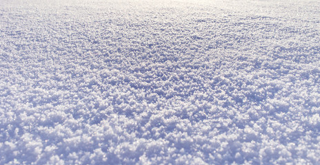 Background of fresh bright snow texture
