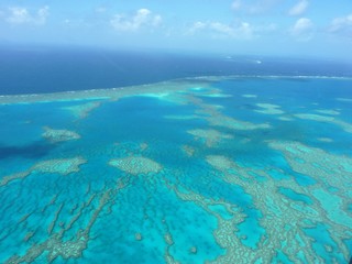 Fototapeta na wymiar Australien - Great Barrier Reef