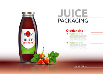 Dog rose, Rose hip or Eglantine drink. Juice realistic bottle Vector mock up. Brier Fruits drink glass bottle advertise templates. 3d detailed element