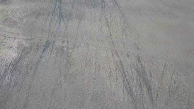 Animal tracks parallel to vehicle tracks on dry surface of salt pan aerial drone shot