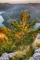 Fototapeta premium View of the Banjska stena Tara mountain landscape with the sunrise