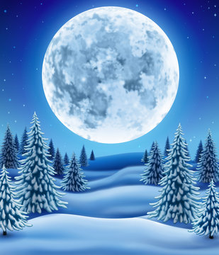 Winter Forest with moon