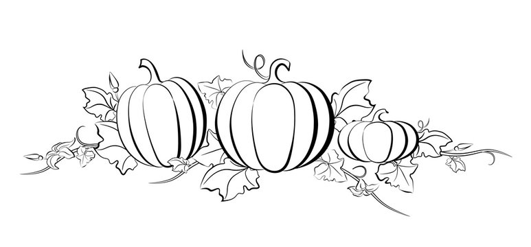 Pumpkin vector drawing set