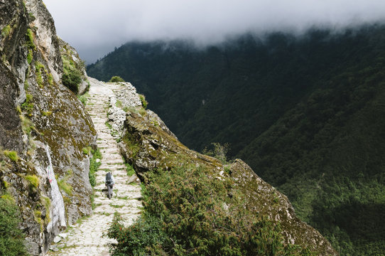 Female trekker climbing steps on route to Tengboche, Everest Region, Sagarmatha National Park, Nepal.