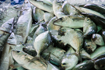 fresh fish in fresh market