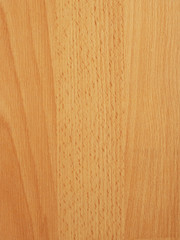 Brown wood texture