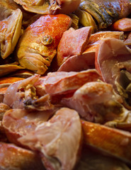 fresh fish in fresh market