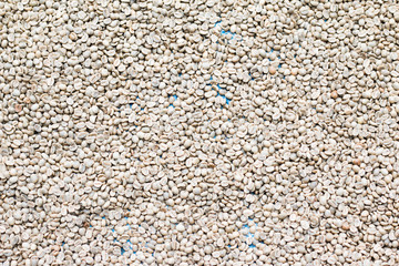 Fresh coffee beans