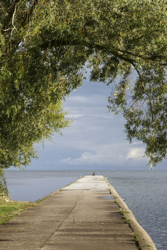 Pier leading into the sea framed by a tree