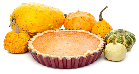 pumpkin pie arranged with small pumpkins isolated on white background