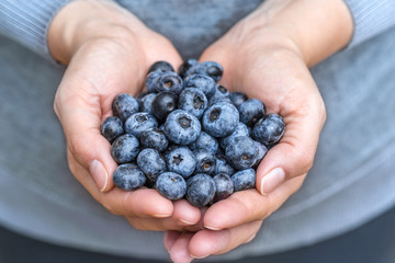 Blueberries blue berries fruits fresh presented in woman hands with soft vivid colors close up detailed macro. Concept for healthy vegan vegetarian lifestyle.