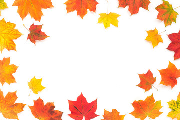 Naklejka na ściany i meble Autumn background. Frame made of colorful maple autumn leaves on white background. Flat lay, top view, copy space
