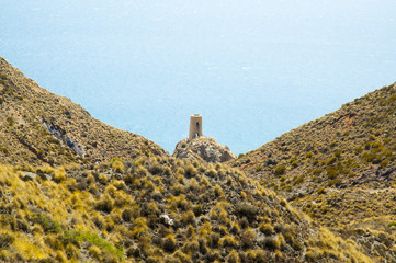 Atalaya vigilanete  entre en monte  el medityerraneo