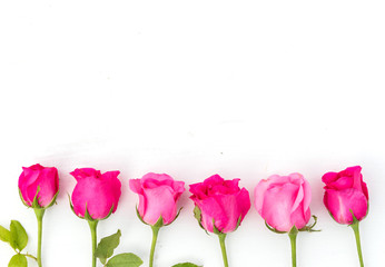 Fototapeta premium Pink flowers. Frame with rose flowers. Easter, spring concept. Flat lay, top view
