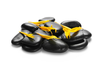 Black spa stones with flower petals isolated on white background