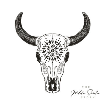Bohemian bull skull with pattern - hand-drawing
