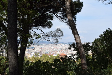City view over Barcelona Spain from Parc Güell