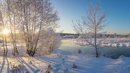 Заснеженный зимний лес кустами и елями на берегу ручья, Россия, Урал, январь