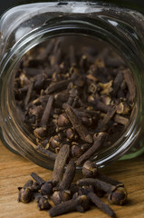 clove dry for food and aroma