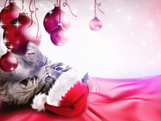 Cute christmas greeting card with small kitten