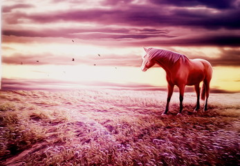 Romantic scenery with horse © sidliks