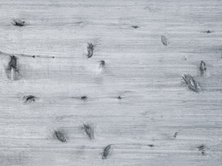 Rustic light grey monochrome wood board background with knots and grain