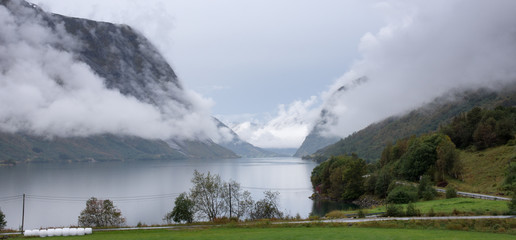 Foggy fjord landscape