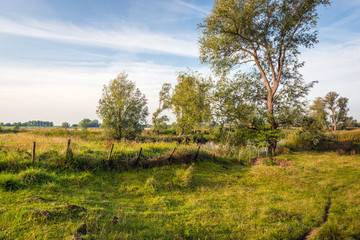 Fototapeta na wymiar Old skewed fence in a colorful rural landscape