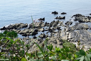 三浦半島 横須賀市荒崎公園 岩礁