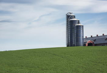 Three Grain Silos on a Grassy Hillside in the Hudson Valley