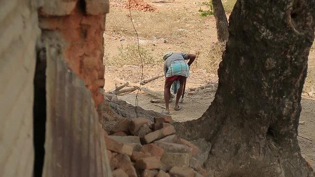 Local man chopping wood. Indian village. Tree.