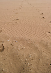 Foot prints in the sand