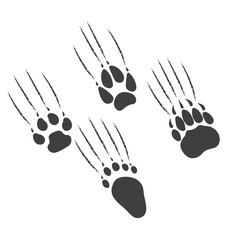 Paw of a predator scratches a background.