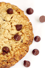 snack: isolated chocolate chip cooky on white background with copy space