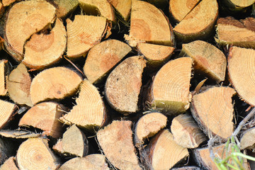 Stacked firewood for camp fires and fireplaces
