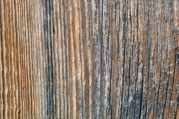 Obraz premium Wood texture. Wood texture for design and decoration