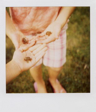 Hands Holding Baby Toads Photographed On  Film