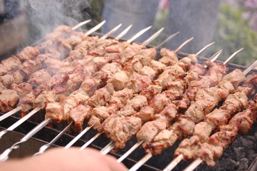 Schaschlick auf dem Grill russischer art